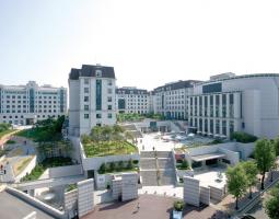 Summer and winter language camp in Seoul Korea