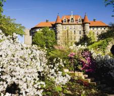 FLS Chestnut Hill College Summer Summer Camp