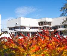 University of Regensburg