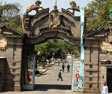 Addis Ababa University