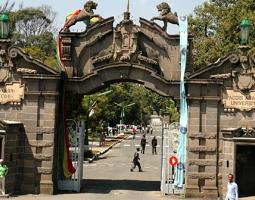 Addis Ababa University