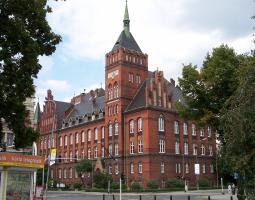 Silesian University