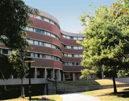 University of Surrey Summer Camp