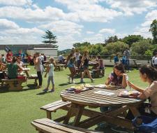 Rice University Summer Camp with programming