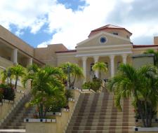 Caribbean University