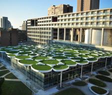 National University of Tainan