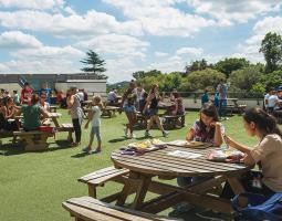 Rice University Summer Camp with programming