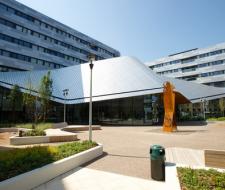 Twin Language School Greenwich