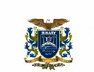 Logo Binary University – Management & Entrepreneurship