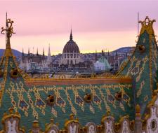 Home Language International Hungary