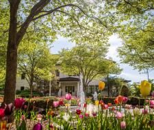 Loyola University IT Summer School