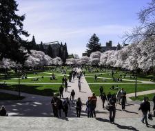 University of Washington Summer Camp with programming