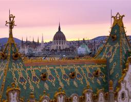 Home Language International Hungary