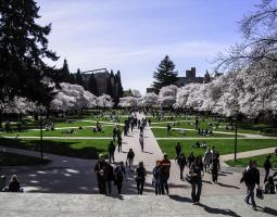University of Washington Summer Camp with programming