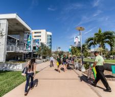 University of South Florida Summer Camp with IT and programming