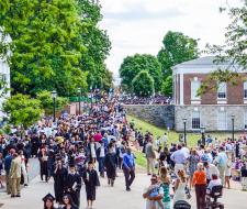 University of Florida Summer Camp with IT and programming