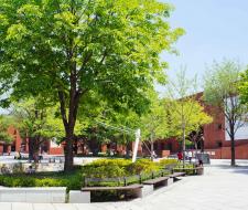 Sungkyunkwan University Summer Camp with IT and programming