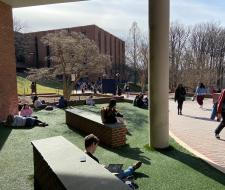 Towson University Summer Camp with IT and programming