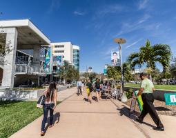 University of South Florida Summer Camp with IT and programming