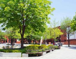 Sungkyunkwan University Summer Camp with IT and programming