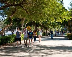 Florida Atlantic University Summer Camp with programming