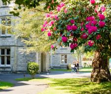 AECC University College