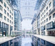 Dresden International University