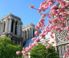 Institut de Langue Francaise