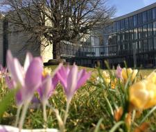 Hasso Plattner Institute