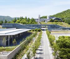 International Pacific University