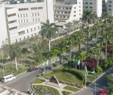 Mansoura University
