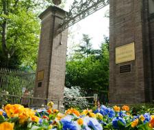 Rockefeller University