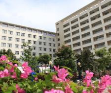 Thang Long University