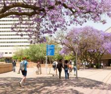 University of Pretoria