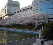 Wonkwang University