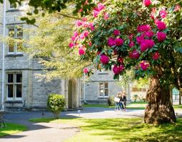 AECC University College