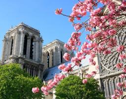 Institut de Langue Francaise