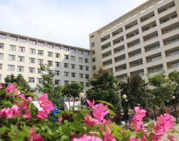 Thang Long University