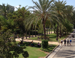 Polytechnic University of Valencia (UPV)