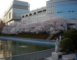 Wonkwang University