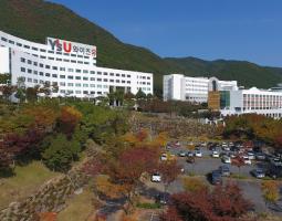 Youngshan University