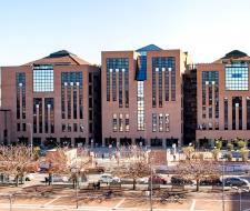 IULM University Milan