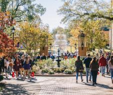 University of North Alabama