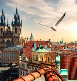 Visas - Czech Republic