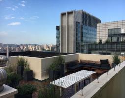 LTL Mandarin Language School