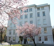 Amadeus International School Vienna