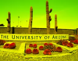 The University of Arizona