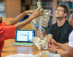 University College of Osteopathy