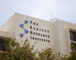 The Scripps Research Institute