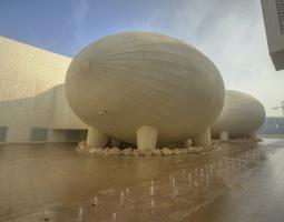 Weill Cornell Medical College in Qatar